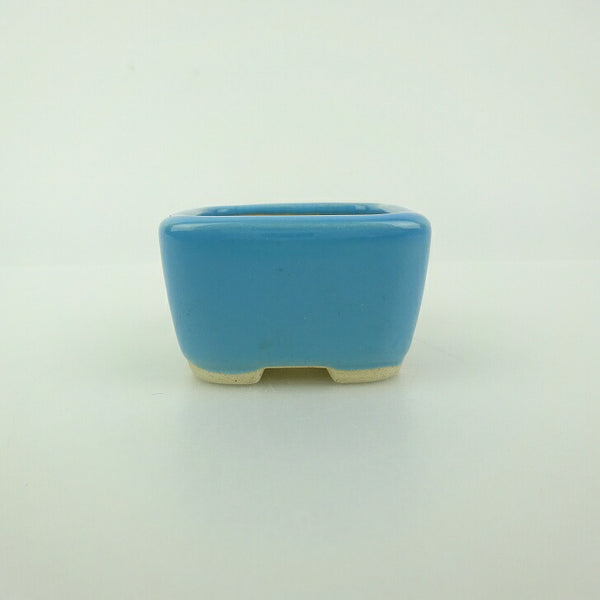 盆栽鉢 青香 豆鉢 長辺 約4.6cm 正方鉢 釉薬 f1198408791
