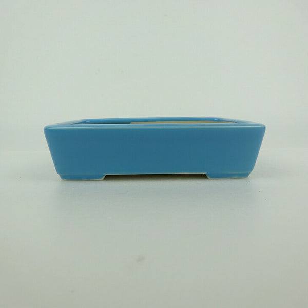 盆栽鉢 青香 小型 長辺 約12.1cm 長方鉢 釉薬 r1198410457