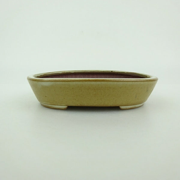 盆栽鉢 青香 小型 長辺 約9.6cm 楕円鉢 釉薬 u1198426725