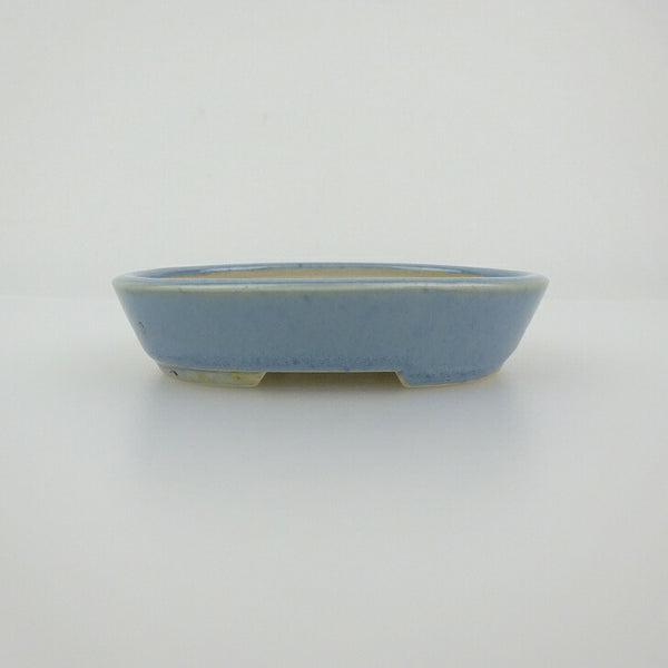 盆栽鉢 青香 小鉢 長辺 約8.3cm 楕円鉢 釉薬 r1198410058