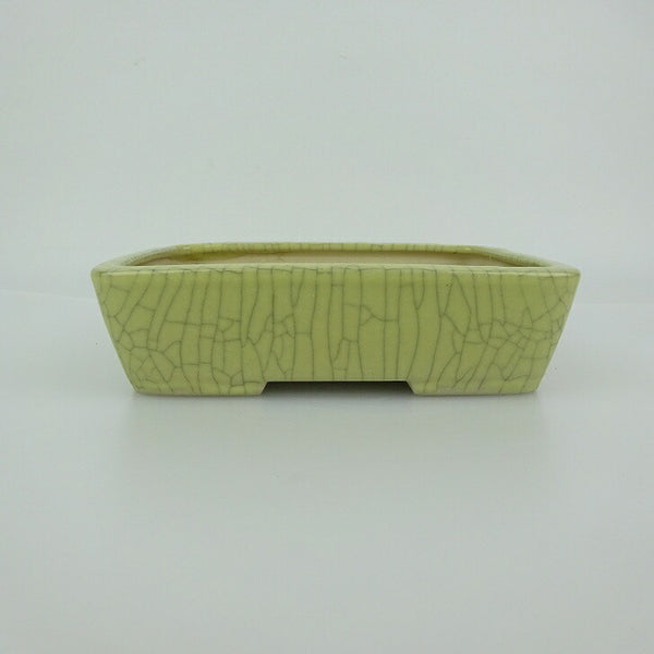 盆栽鉢 青香 小型 長辺 約14.8cm 長方鉢 貫入 釉薬 観賞用 1198407267