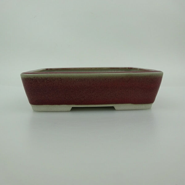 盆栽鉢 青香 小型 長辺 約14.5cm 長方鉢 釉薬 e1198413267