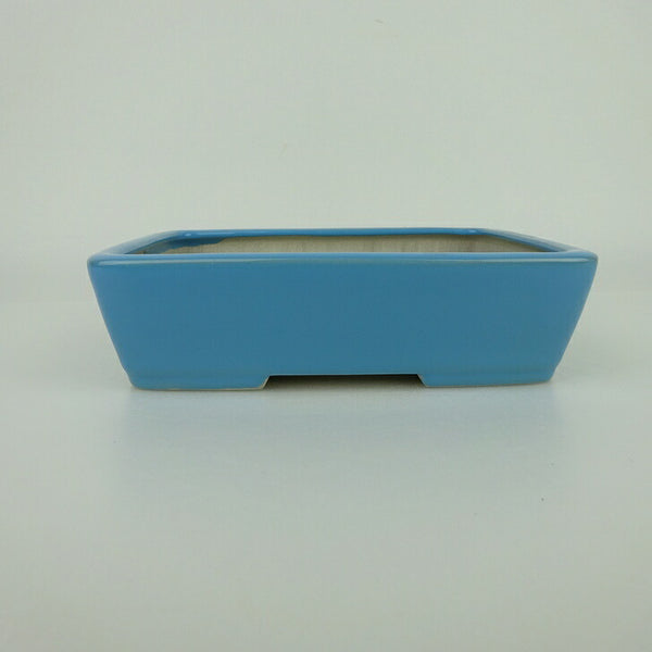 盆栽鉢 青香 小型 長辺 約14.8cm 長方鉢 釉薬 1198407409