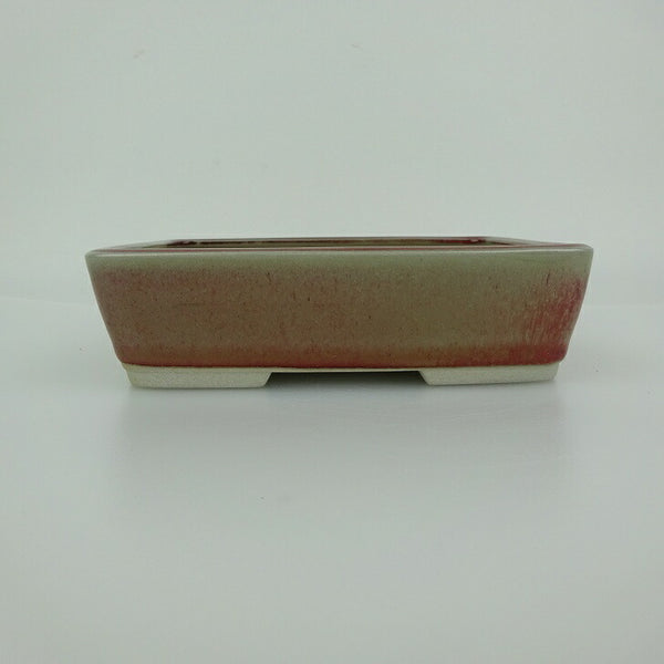 盆栽鉢 青香 小型 長辺 約14.5cm 長方鉢 釉薬 観賞用 u1198422845