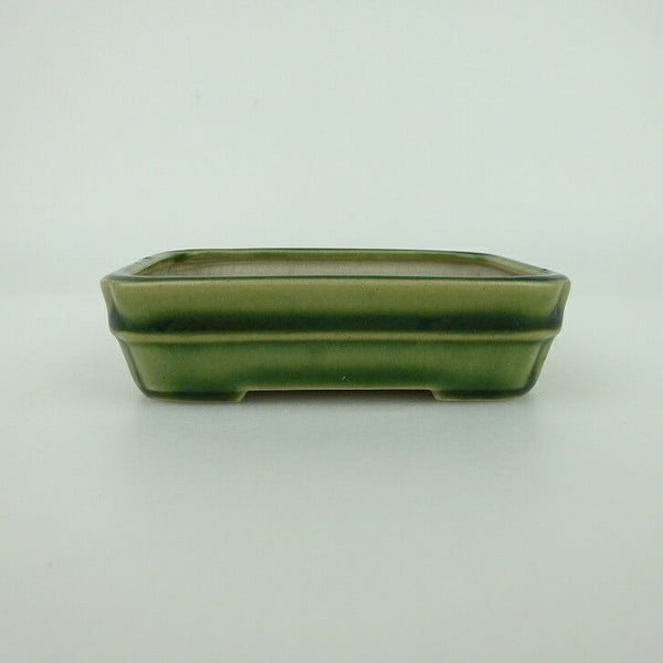 盆栽鉢 青香 小鉢 長辺 約9.3cm 長方鉢 中帯 釉薬 c1198404190