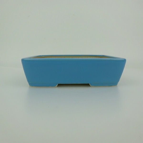 盆栽鉢 青香 小型 長辺 約14.9cm 長方鉢 釉薬 観賞用 c1198406390