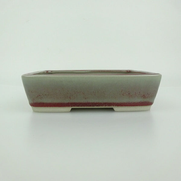 盆栽鉢 青香 小型 長辺 約14.3cm 長方鉢 釉薬 j1198415218