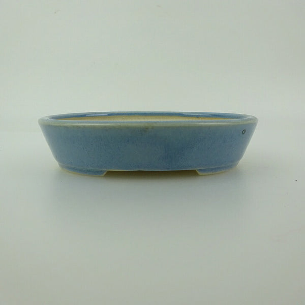 盆栽鉢 青香 小型 長辺 約12cm 楕円鉢 釉薬 m1198409017