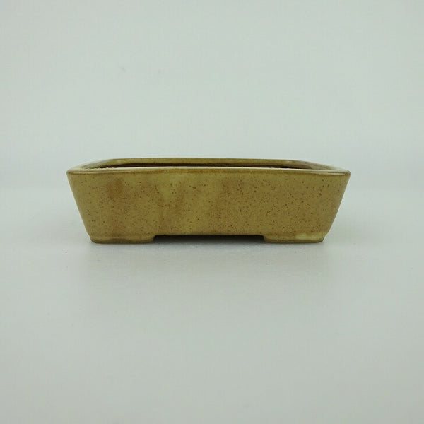 盆栽鉢 青香 小鉢 長辺 約9.3cm 長方鉢 釉薬 g1198423451