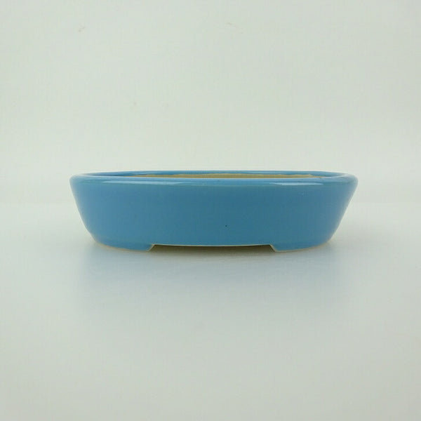 盆栽鉢 青香 小型 長辺 約11.7cm 楕円鉢 釉薬 v1198436679