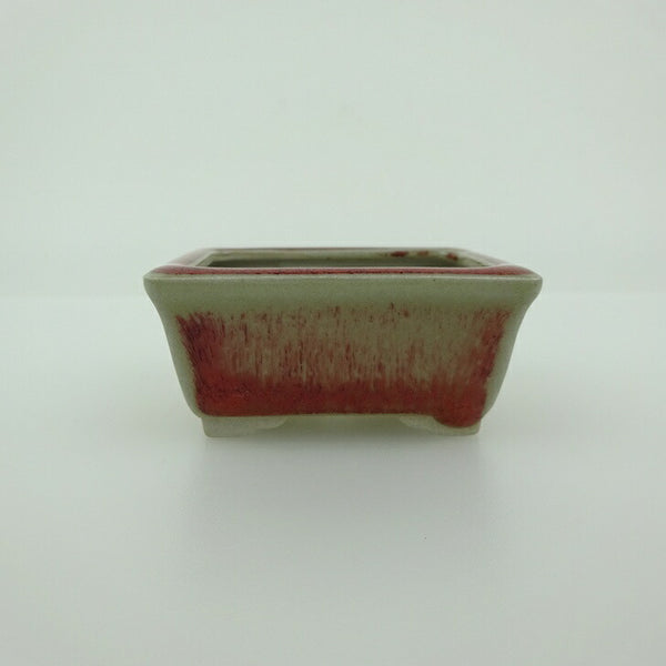 盆栽鉢 青香 小鉢 長辺 約5.8cm 長方鉢 縁付 釉薬 k1198411409