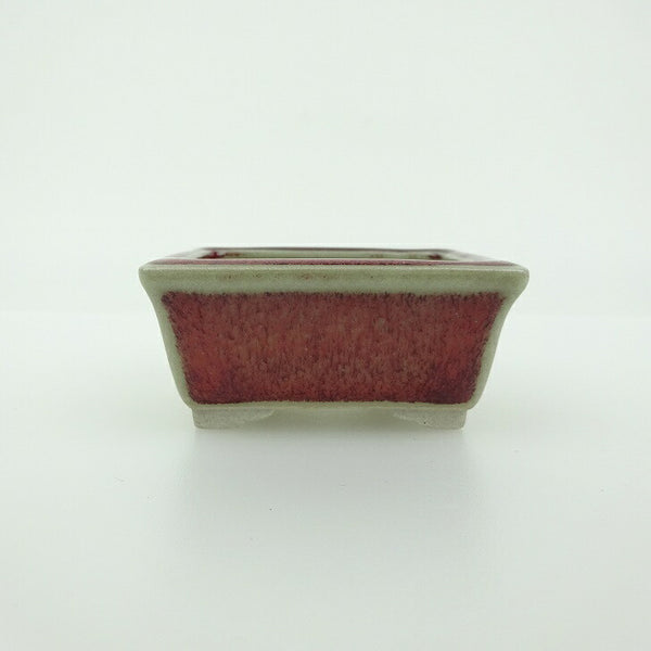 盆栽鉢 青香 小鉢 長辺 約5.8cm 長方鉢 縁付 釉薬 t1198409931