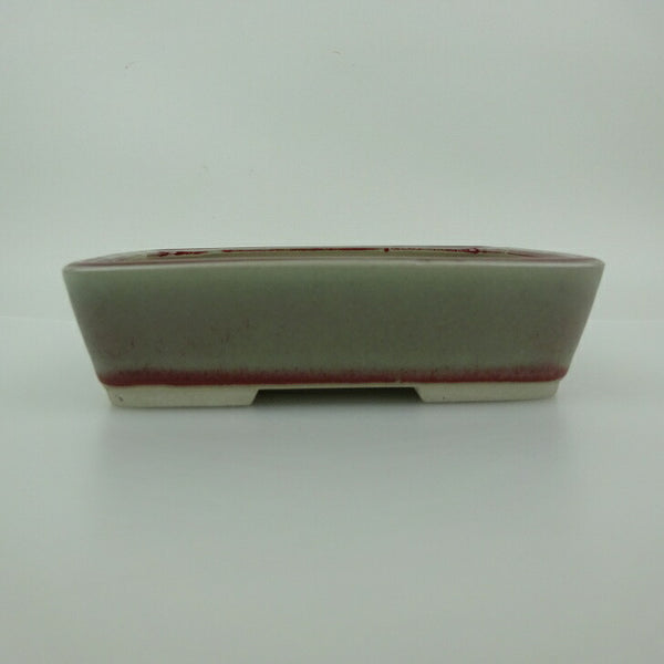 盆栽鉢 青香 小型 長辺 約14.5cm 長方鉢 釉薬 g1198416943