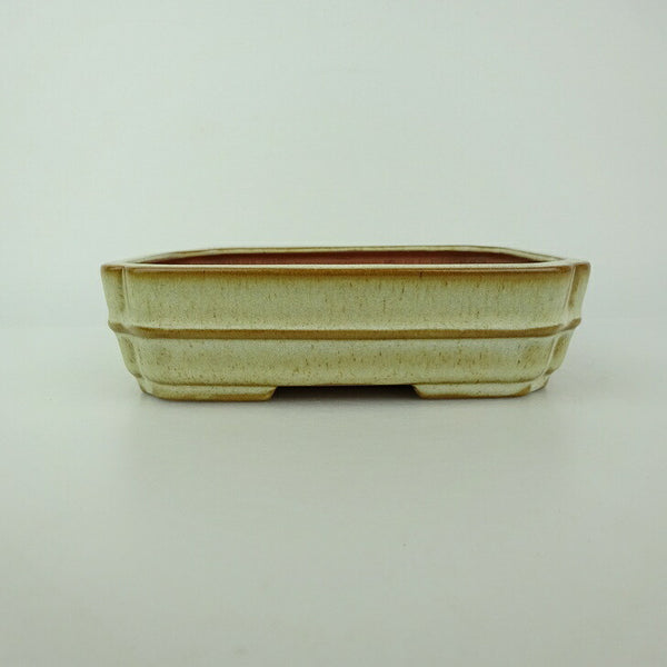 盆栽鉢 青香 小型 長辺 約14.8cm 長方鉢 隅入 中帯 釉薬 x1198415364