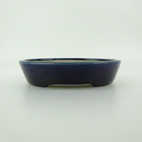 盆栽鉢 青香 小型 長辺 約11.6cm 楕円鉢 釉薬 m1198403049