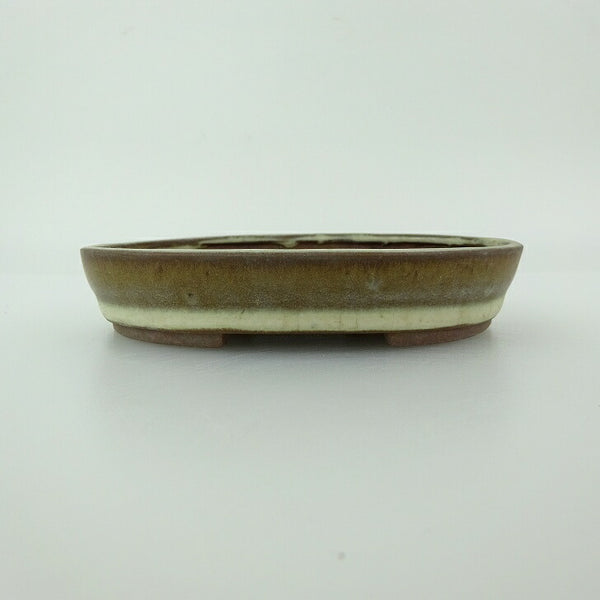 盆栽鉢 青香 小型 長辺 約11.9cm 楕円鉢 中帯 釉薬 x1198416759