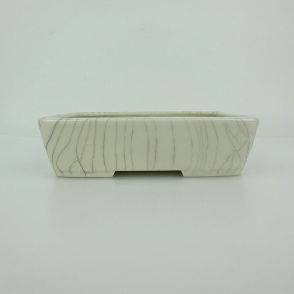 盆栽鉢 青香 小型 長辺 約14.5cm 長方鉢 貫入 釉薬 観賞用 j1198414283