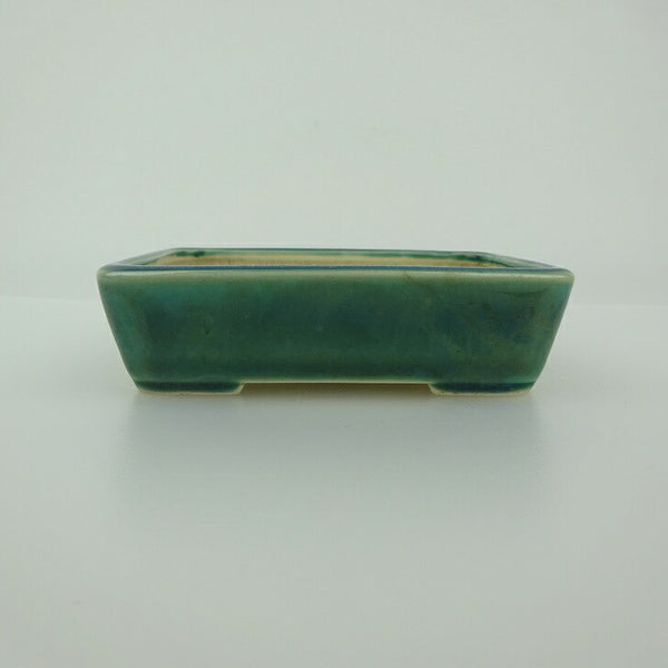 盆栽鉢 青香 小鉢 長辺 約9.2cm 長方鉢 釉薬 e1198410677