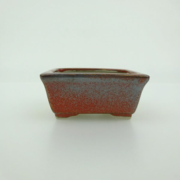 盆栽鉢 青香 小鉢 長辺 約5.8cm 長方鉢 縁付 釉薬 c1198404498