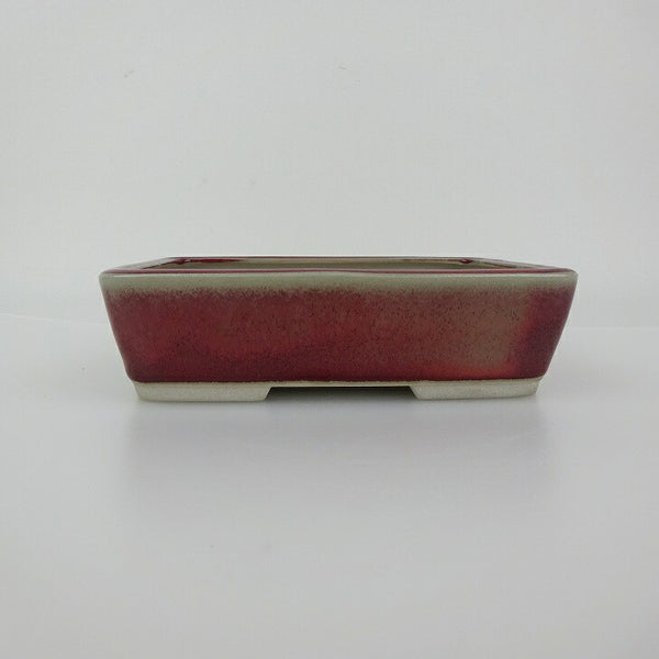 盆栽鉢 青香 小型 長辺 約14.6cm 長方鉢 釉薬 q1198416559