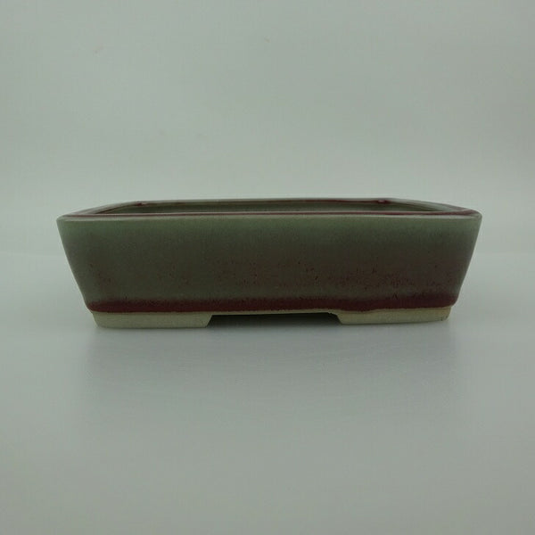 盆栽鉢 青香 小型 長辺 約14.5cm 長方鉢 釉薬 k1198414011