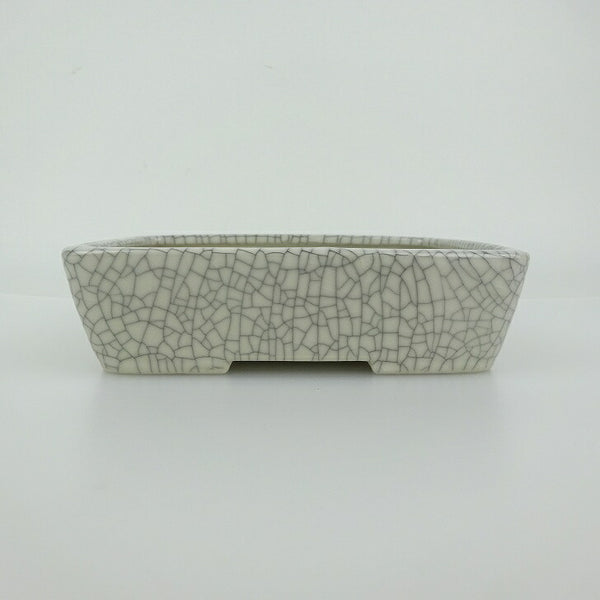 盆栽鉢 青香 小型 長辺 約14.5cm 長方鉢 貫入 釉薬 t1198412512