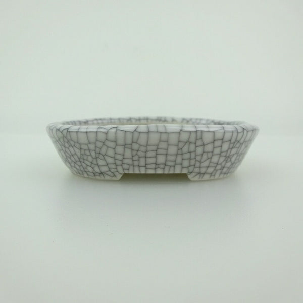 盆栽鉢 青香 小鉢 長辺 約8.4cm 楕円鉢 貫入 釉薬 e1198416159