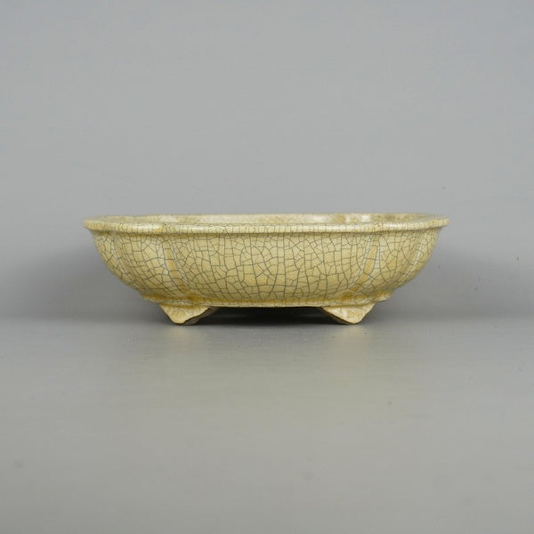 盆栽鉢 真山 寺畑陶園 中型 長辺 約20.5cm 木瓜鉢 釉薬  新品 s1198418304