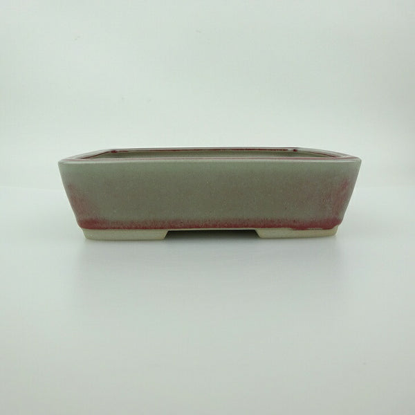 盆栽鉢 青香 小型 長辺 約14.5cm 長方鉢 釉薬 観賞用 c1198402642