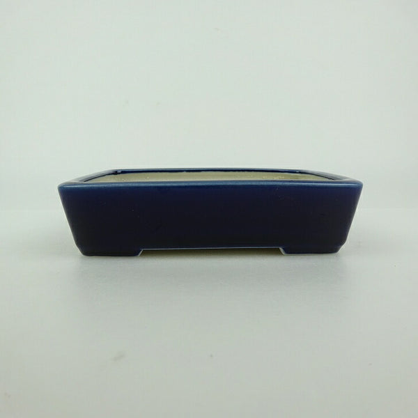 盆栽鉢 青香 小型 長辺 約12cm 長方鉢 釉薬 w1198406046