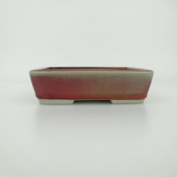 盆栽鉢 青香 小型 長辺 約14.5cm 長方鉢 釉薬 j1198411638