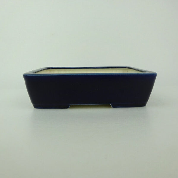 盆栽鉢 青香 小型 長辺 約14.5cm 長方鉢 釉薬 t1198404544