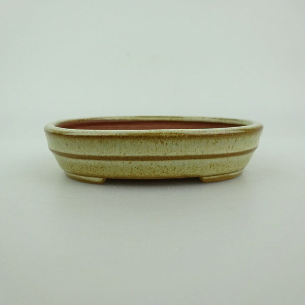 盆栽鉢 青香 小型 長辺 約10cm 楕円鉢 中帯 釉薬 1198408507