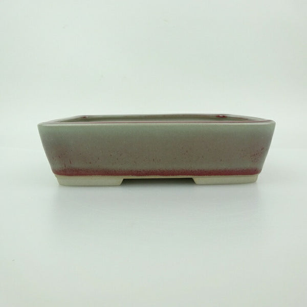 盆栽鉢 青香 小型 長辺 約14.5cm 長方鉢 釉薬 f1198412914