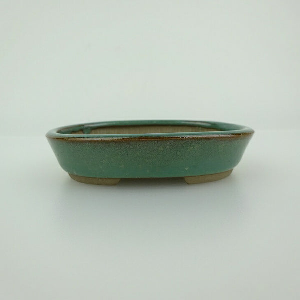 盆栽鉢 青香 小鉢 長辺 約8.3cm 楕円鉢 釉薬 v1198437526