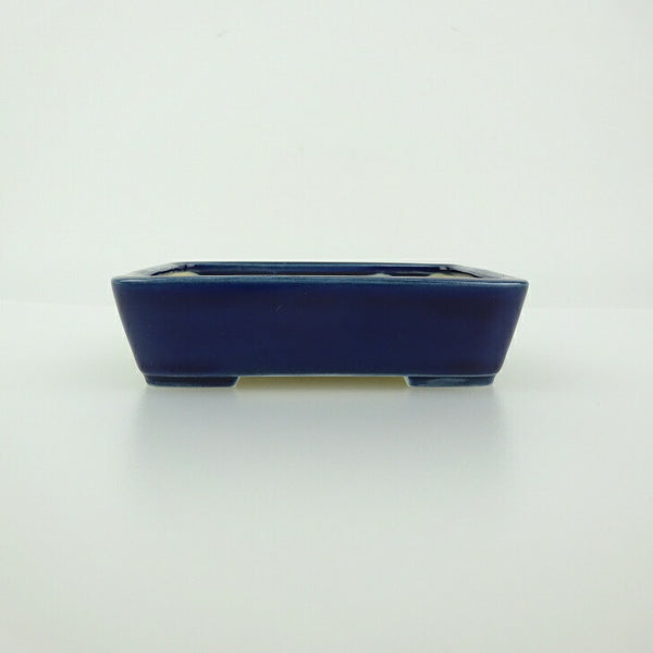 盆栽鉢 青香 小鉢 長辺 約9.3cm 長方鉢 釉薬 q1198418305