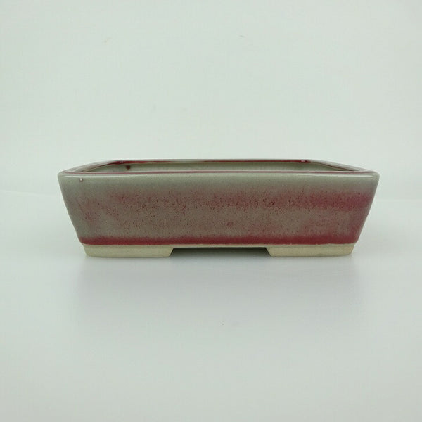 盆栽鉢 青香 小型 長辺 約14.5cm 長方鉢 釉薬 観賞用 b1198421770