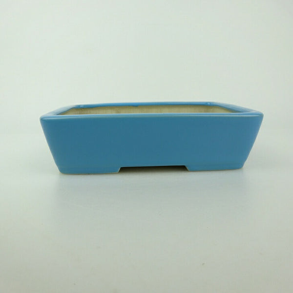 盆栽鉢 青香 小型 長辺 約14.5cm 長方鉢 釉薬 t1198403843
