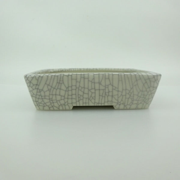 盆栽鉢 青香 小型 長辺 約14.8cm 長方鉢 貫入 釉薬 j1198419850
