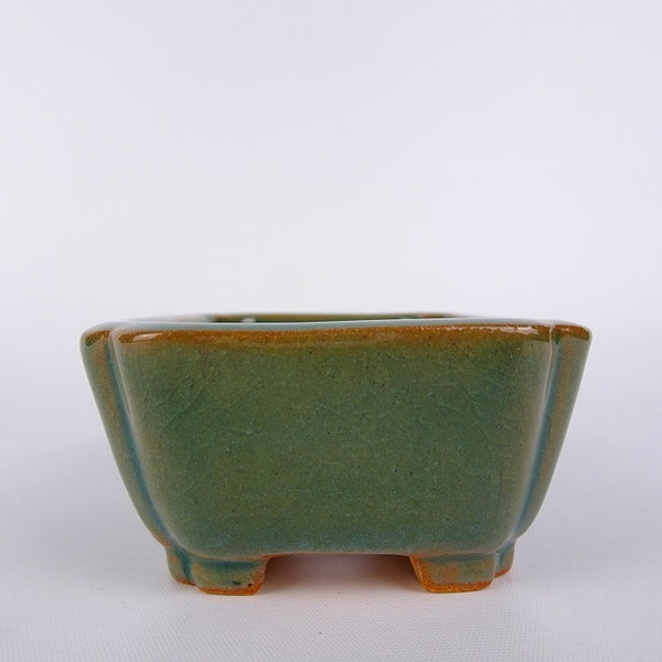 盆栽鉢 常滑 柴勝 小鉢 長辺 約7cm 長方鉢 隅入 緑釉  新品 1198408957