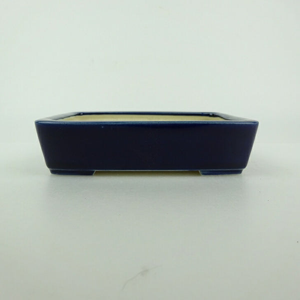 盆栽鉢 青香 小型 長辺 約11.9cm 長方鉢 釉薬 v1198434292