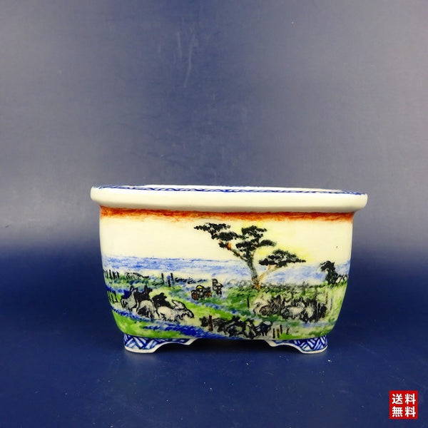 盆栽鉢 紀伊 小型 長辺 約10cm 長方鉢 外縁 色絵 東海道五拾三次ノ内  新品 s1198418504