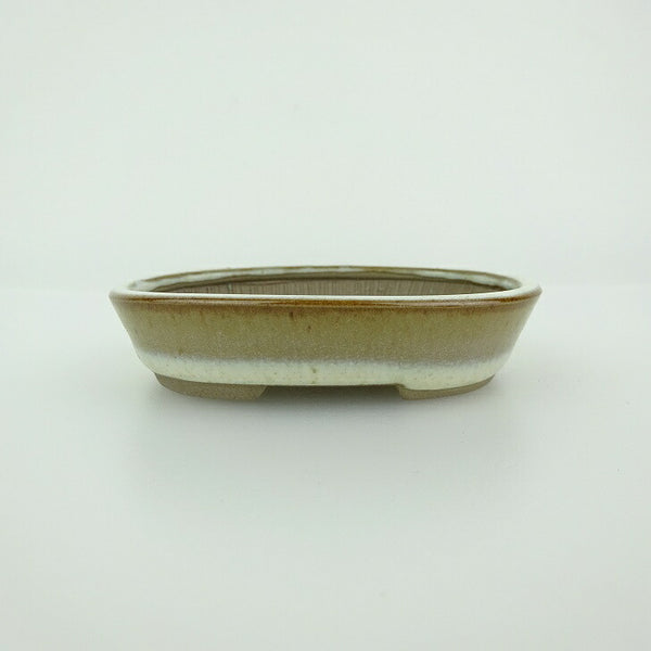 盆栽鉢 青香 小鉢 長辺 約8.2cm 楕円鉢 釉薬 v1198440459