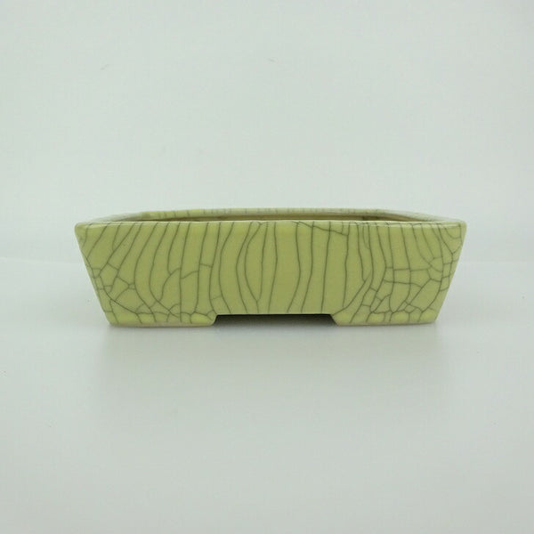盆栽鉢 青香 小型 長辺 約14.5cm 長方鉢 貫入 釉薬 p1198413393