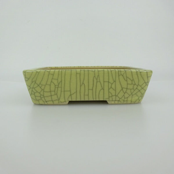 盆栽鉢 青香 小型 長辺 約14.5cm 長方鉢 貫入 釉薬 k1198404247