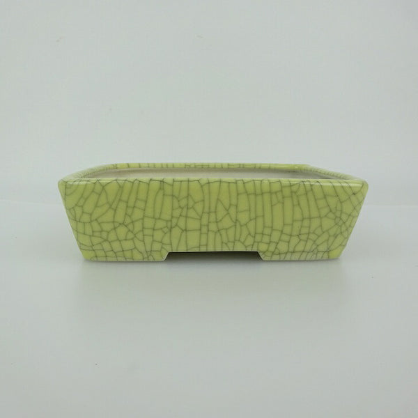 盆栽鉢 青香 小型 長辺 約14.8cm 長方鉢 貫入 釉薬 j1198416170