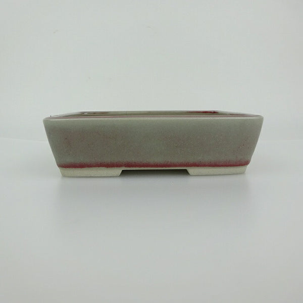 盆栽鉢 青香 小型 長辺 約14.5cm 長方鉢 釉薬 f1198408539