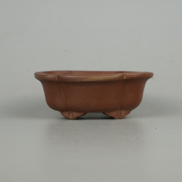 盆栽鉢 常滑 柴勝 小鉢 長辺 約7.8cm 木瓜鉢  新品 k1198410032