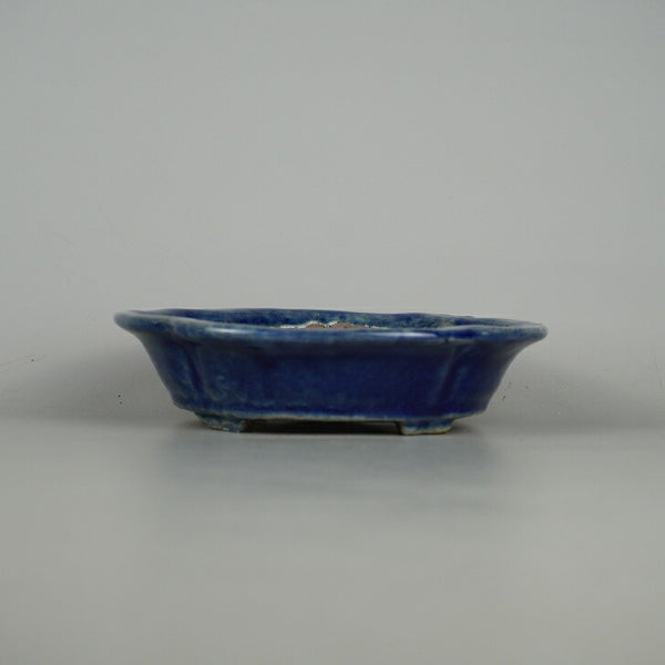 盆栽鉢 常滑 秀峰 小型 長辺 約 15.5cm 木瓜鉢 釉薬  新品 x1198415258