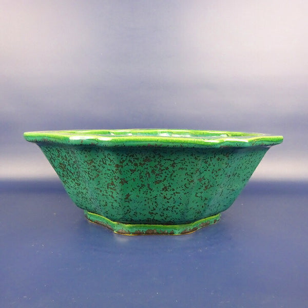 盆栽鉢 常滑 鴻陽造 中型 長辺 約30cm 輪花鉢 外縁 切足 緑釉  新品 r1198406821